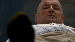 Walkabout Image from Lost Season 1 Episode 4